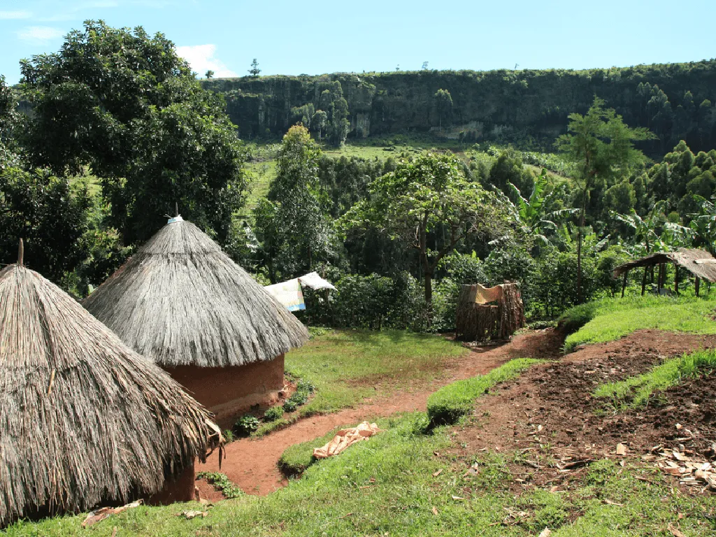 Photo of huts in Cambodia