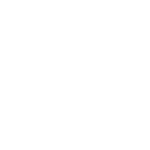 Wallet icon